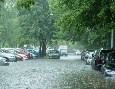 Miniatura: Zalało uwielbiany kierunek Polaków. Poziom...