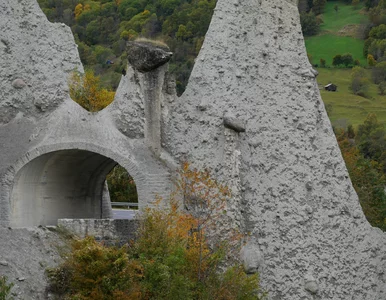 Miniatura: Uważano je za dowód biblijnego potopu....