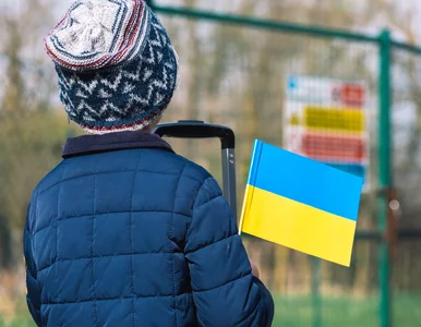 Miniatura: 800 plus dla Ukraińców. Znamy wyniki...