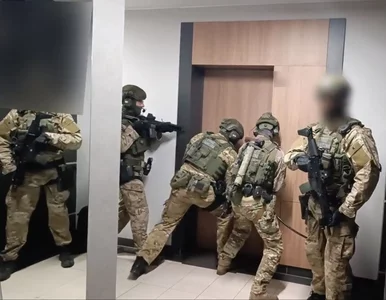Miniatura: Polskie służby zaostrzają podejście do...