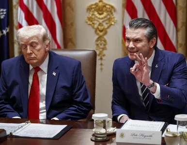 Miniatura: Amerykanie chcieli polskiej pomocy w...