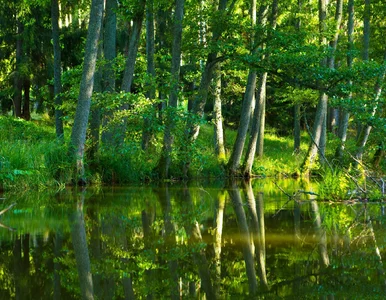 Miniatura: Atrakcja w Polsce otwarta po 29 latach....