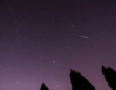 Miniatura: W tym roku Perseidy nie będą tak widoczne....