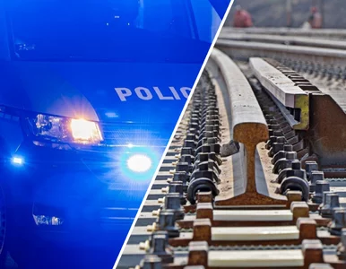 Miniatura: Dlaczego przeprowadzono akt dywersji?...