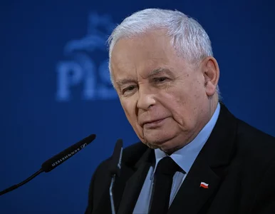 Miniatura: PiS zapowiada wielki powrót do gry....