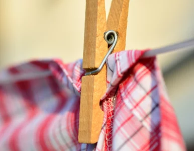 Miniatura: Ten sprytny trik z Japonii sprawia, że...