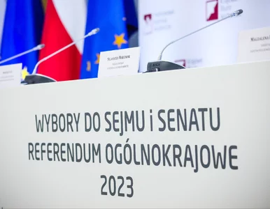 Miniatura: „GlosujNaPiS!”. Atak hakerów miał wpłynąć...