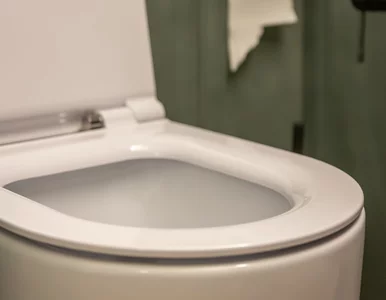 Miniatura: Wyciśnij do toalety, odczekaj i spłucz....
