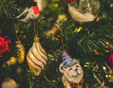 Miniatura: Kiedy ubierać choinkę? Większość Polaków...