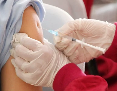 Miniatura: Wstyd. Polska na szarym końcu w...