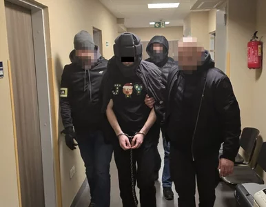 Miniatura: Najbardziej niebezpieczne miasta w Polsce....