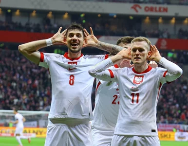 Miniatura: Gol reprezentacji Polski na PGE Narodowym....