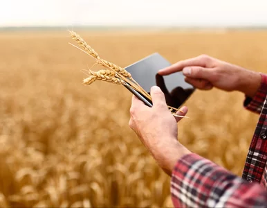 Miniatura: Jak sfinansować rozwój przedsiębiorstw z...