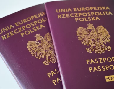 Miniatura: Coraz więcej cudzoziemców z polskim...