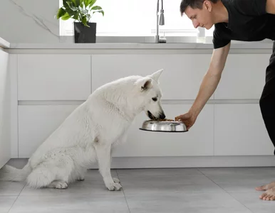 Miniatura: Drożyzna w sklepach hamuje? Dobre wieści...