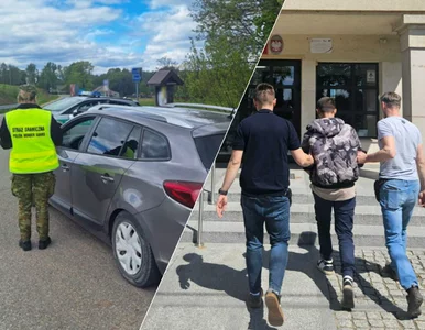 Miniatura: Nowy szlak migracyjny przez Polskę....