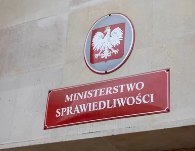 Miniatura: 160 tys. na basen z kulkami i inne...