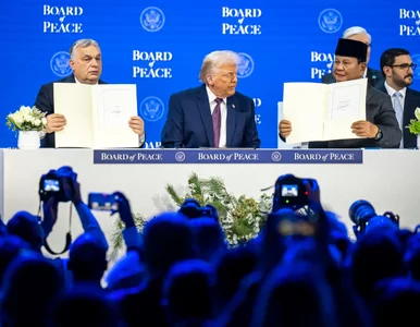 Miniatura: Znamy skład Rady Pokoju. Tusk skomentował...