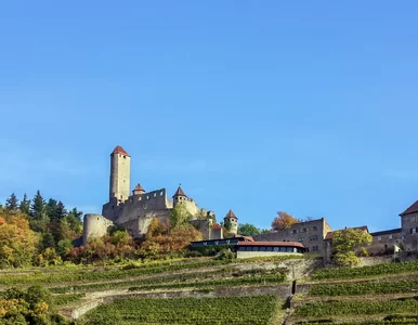 Miniatura: Jest jedną z największych ciekawostek...