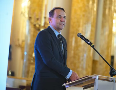 Miniatura: Sikorski tworzy nowe środowisko. Ekspert...