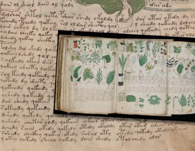 Miniatura: To jedna z największych zagadek...