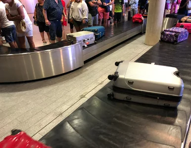Miniatura: Te linie rzadko gubią bagaże. Zaskakujące...