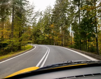 Miniatura: Ceny paliw po majówce. Kierowców czeka...