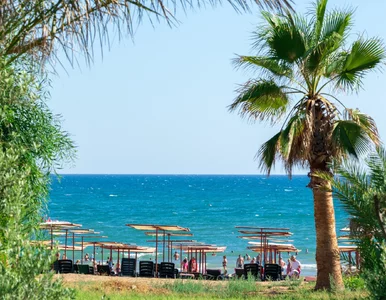 Miniatura: All inclusive za 1015 zł. Taka oferta nie...