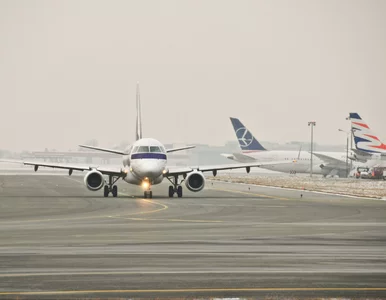 Miniatura: Groźny incydent na ternie Lotniska...