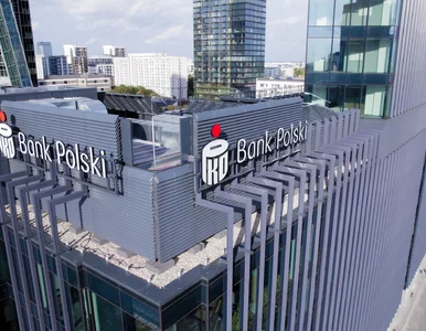 Miniatura: Perspektywa PKO Banku Polskiego: local...