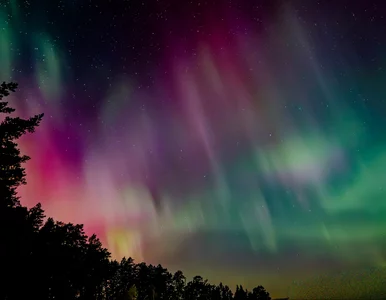 Miniatura: Aż 40 rozbłysków na Słońcu w krótkim...