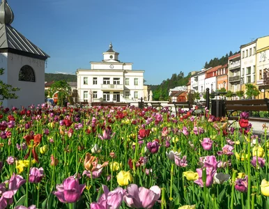 Miniatura: Wyjątkowa nowość w polskim uzdrowisku....