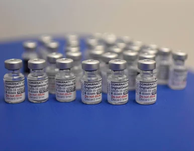 Miniatura: Pfizer pozywa Polskę. Gra toczy się o...