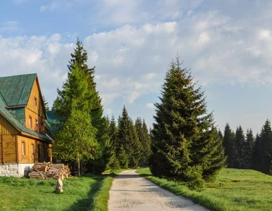 Miniatura: Wielki remont w uzdrowisku. Turyści...