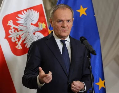 Miniatura: Tusk uderzył w Dudę. Wystarczyło mu jedno...