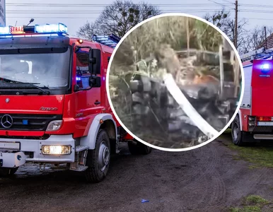 Miniatura: Pies z lisem wpadli do studni. Zwierzęta...