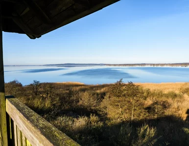 Miniatura: Niektórzy mogą złapać się za głowę. Nowa...