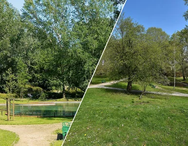 Miniatura: Perła wśród parków 15 minut od centrum...