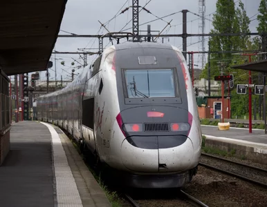 Miniatura: Polak przejechał 500 km na zewnątrz...