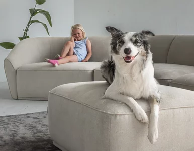 Miniatura: Miękkie kształty i zaokrąglone formy –...