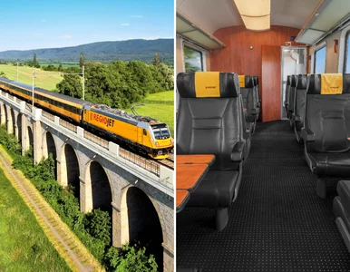 Miniatura: Dziś konkurent PKP wjeżdża na polskie...