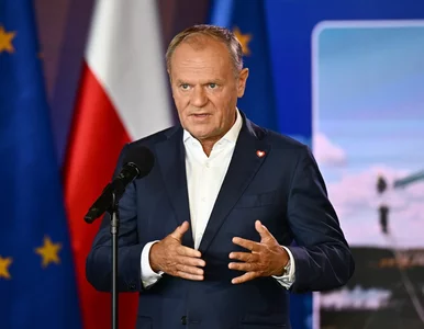 Miniatura: Rewolucja przy granicy polsko-niemieckiej....