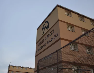 Miniatura: Poseł PiS proponuje „przełomowe...