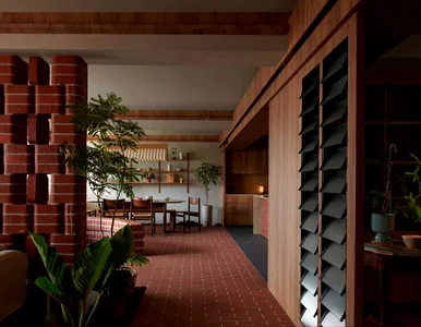 Miniatura: Miał 571 cegieł i marzenie o roślinach....