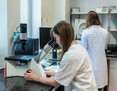 Miniatura: Polskie uczelnie medyczne w światowej...