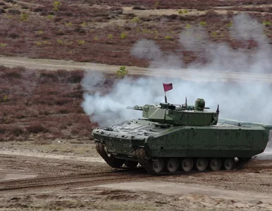 Miniatura: Program SAFE w martwym punkcie. Minister...