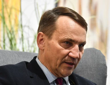 Miniatura: Polacy zatrzymani w Izraelu. Sikorski:...