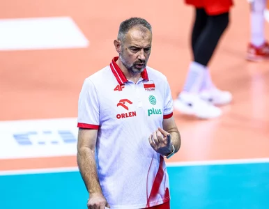 Miniatura: Nikola Grbić gwarantem sukcesu...