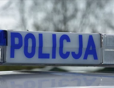 Miniatura: O zaginięciu 11-latki mówiła cała Polska....