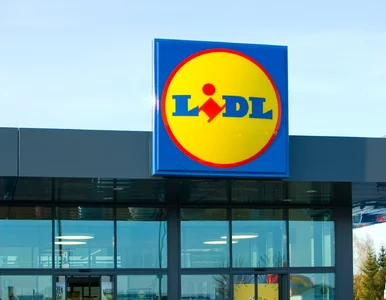 Miniatura: Masz te lody z Lidla? GIS ostrzega przed 4...